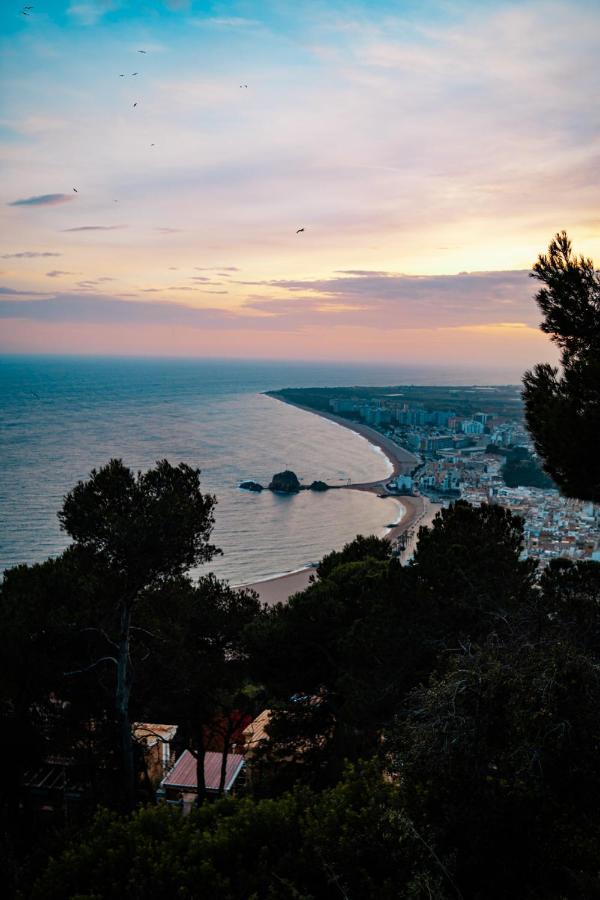 Pierre & Vacances Blanes Playa Eksteriør billede